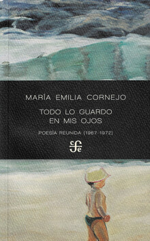 Todo lo guardo en mis ojos(1967-1972)