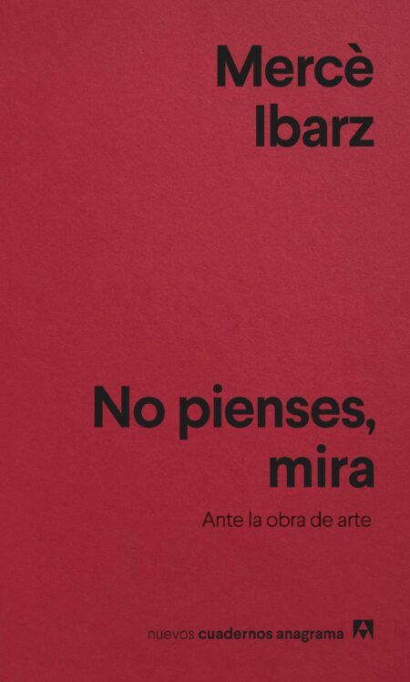 No pienses, mira. Ante la obra de arte (cuadernos)